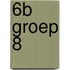 6b Groep 8