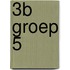 3B Groep 5