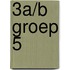 3a/b Groep 5
