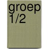 Groep 1/2 door Onbekend