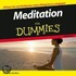 Meditation Fur Dummies