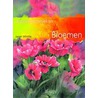 Aquareltechnieken