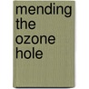 Mending the Ozone Hole by Kevin Gurney