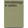 Microbiology in Action door R.A. Killington