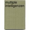 Multiple Intelligenzen door Wilfried Krenn