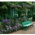 Murray/Monet's Passion