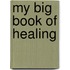 My Big Book of Healing