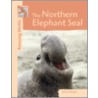 Northern Elephant Seal by John E. Becker