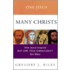 One Jesus Many Christs