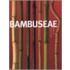 Bambuseae