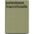 Paleobase Macrofossils