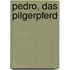 Pedro, das Pilgerpferd
