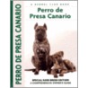 Perro de Presa Canario by Manuel Curto Gracia