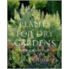 Plants For Dry Gardens by Jayne Taylor