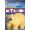 Polar Bears in Trouble door Rob Waring
