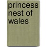 Princess Nest Of Wales by Kari Maund