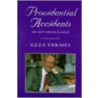 Providential Accidents by Geza Vermes
