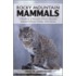 Rocky Mountain Mammals