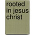 Rooted in Jesus Christ