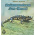 Salamanders Are Gross!