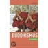 Schnellkurs Buddhismus