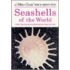 Seashells of the World