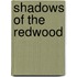 Shadows Of The Redwood