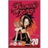 Shaman King, Volume 20