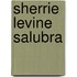 Sherrie Levine Salubra