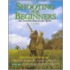 Shooting For Beginners