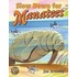 Slow Down for Manatees