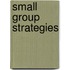 Small Group Strategies