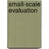 Small-Scale Evaluation