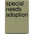 Special Needs Adoption
