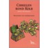 Cirkelen rond Kolb
