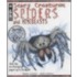 Spiders And Minibeasts