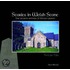 Stories In Welsh Stone