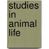 Studies In Animal Life