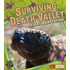 Surviving Death Valley