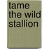 Tame the Wild Stallion