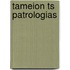 Tameion Ts Patrologias