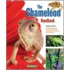 The Chameleon Handbook