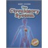 The Circulatory System