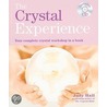 The Crystal Experience door Judy Hall