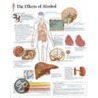 The Effects Of Alcohol door Authors Various