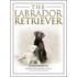 The Labrador Retriever