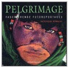 Pelgrimage