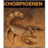 Schorpioenen