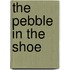 The Pebble in the Shoe