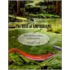 The Rise Of Amphibians
